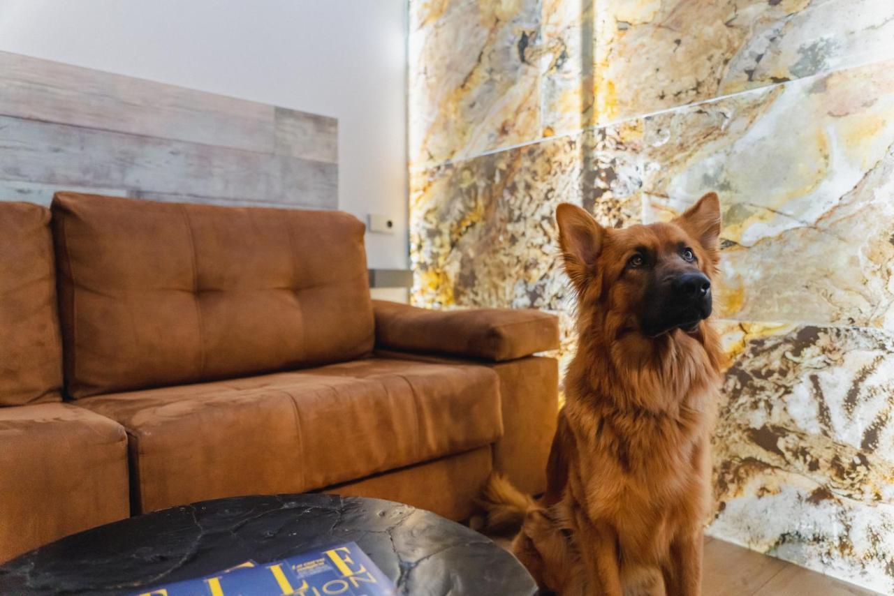Cosmopolitan Boutique Rambla Hotel Barcelona Luaran gambar